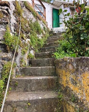 Relaxing House By The Beach - Casa Rosa Horta  Luaran gambar